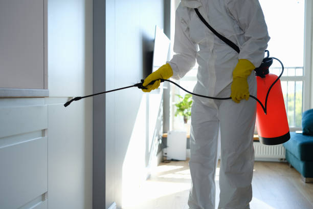 Best Commercial Mold Remediation in Oostburg, WI